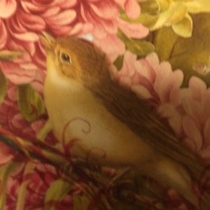 Meet your Posher, Diana